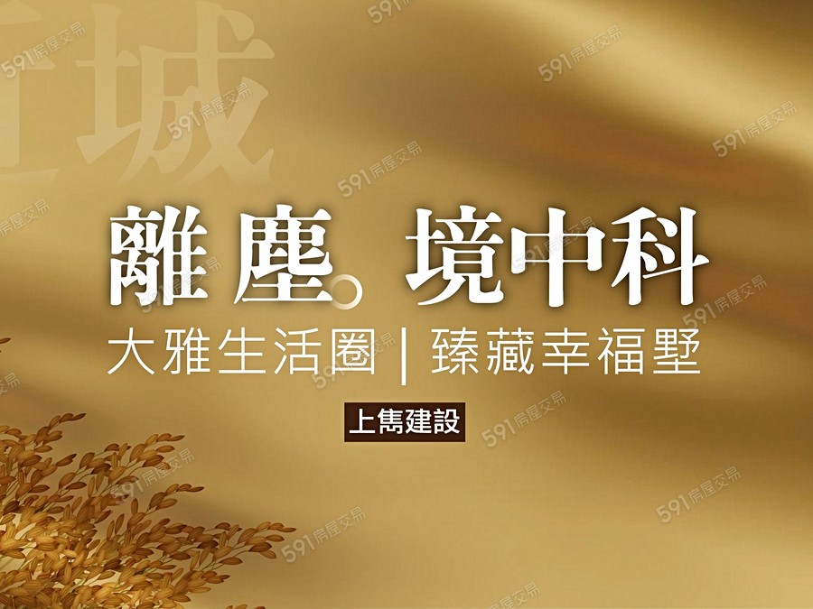 上雋金色朗朗NO.2宣傳圖