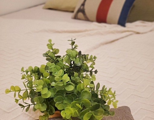 植感小套房、租補後只需6120、還贈半個月搬家期!! - Image 9