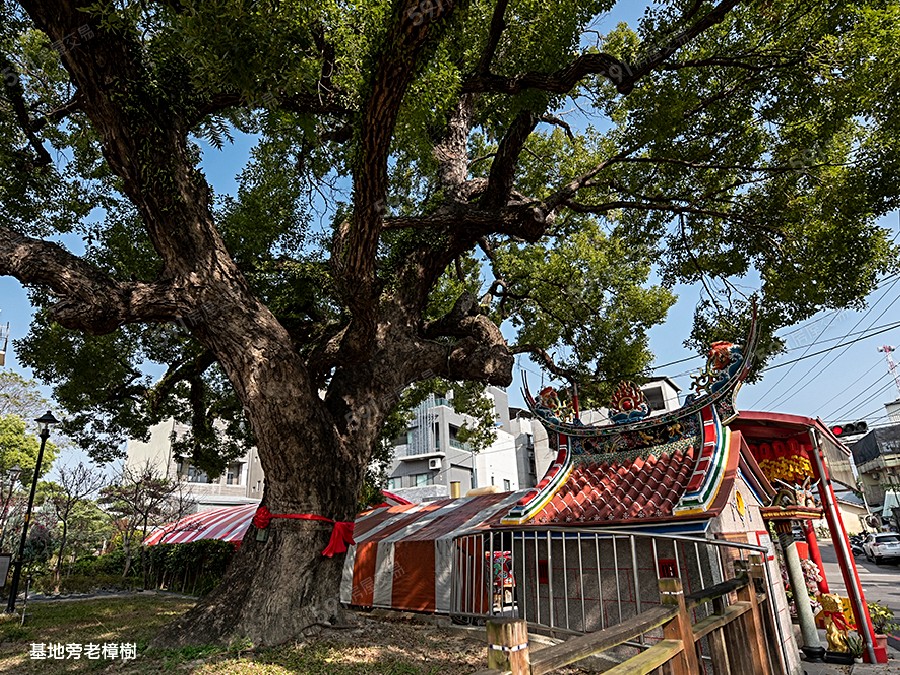 沅宬樹見築環境圖