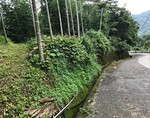物件圖片