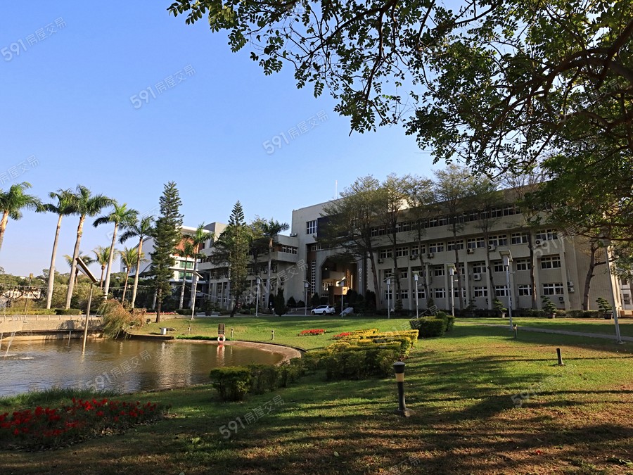 達莉蘴洵環境圖