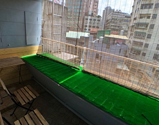 古亭:師大:1房1廳:採光佳:陽台:天然氣:可寵:租補 - Image 8