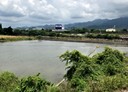 銅鑼鄉-中平土地，761坪