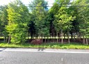 宜蘭市-黎明路開放式格局,263.2坪