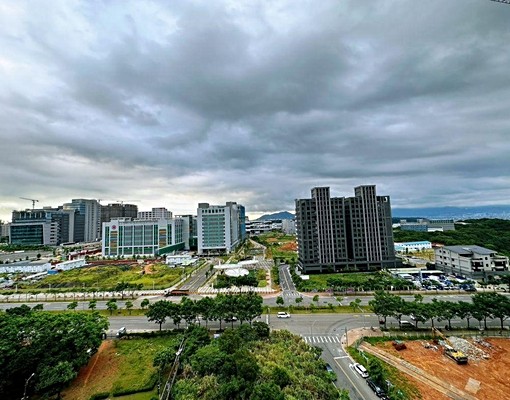 屋主直租直接行李入住的輕奢小豪宅 - Image 9