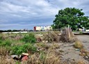 竹塘鄉-東陽路一段土地，1601.2坪