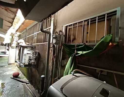 近中港國小，2+1房附傢俱，門口方便停車 - Image 10