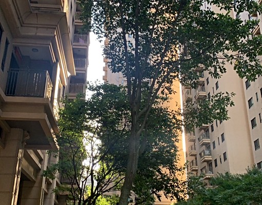 ★麗寶快樂家☆溫馨三房含管 - Image 10
