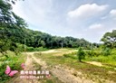 楊梅區-瑞坪路土地，420坪