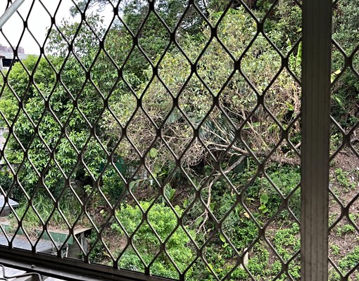 近長庚總院、長樂國小溫馨套房 - Image 4