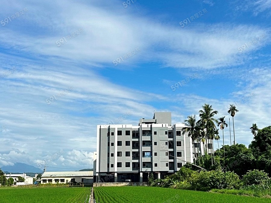 幸福中興實景圖