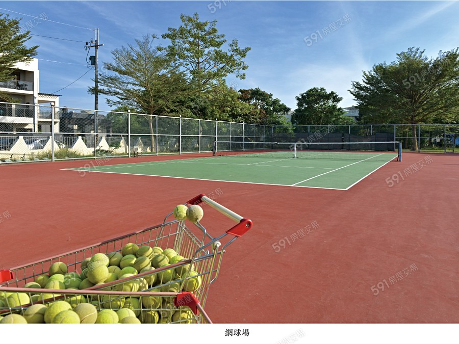 五十皇冠6環境圖