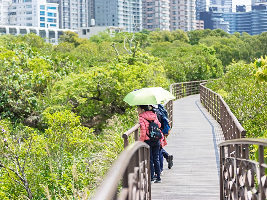 嘉潤家泰氧之森環境圖