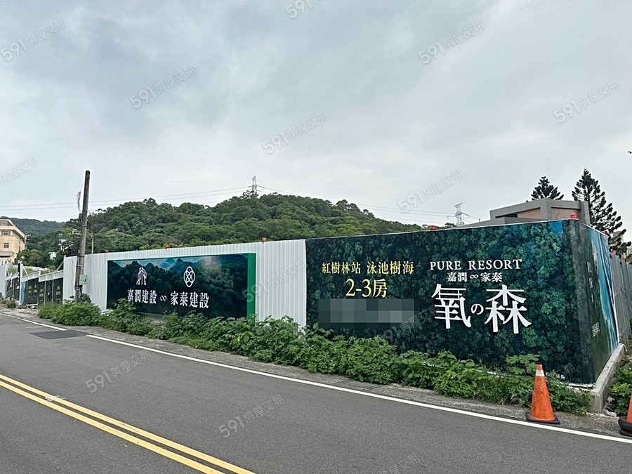 嘉潤家泰氧之森實景圖