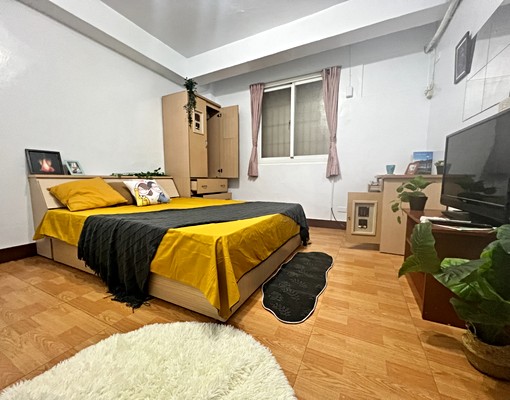 南台96貓寵租補六合夜市近美麗島📞愛窩 - Image 1