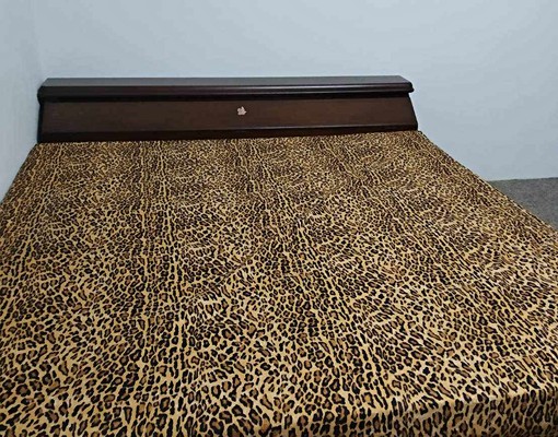 沙鹿區平等路(近靜宜弘光)可養貓 - 591租屋網 - Image 2