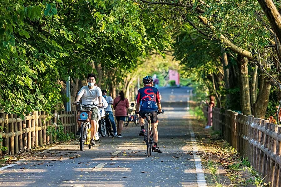 在東豐鐵馬道，輕鬆穿梭綠蔭隧道