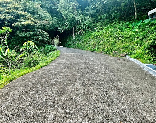 🌈獨賣雙溪萬坪綠野仙境\\*東森淑婷