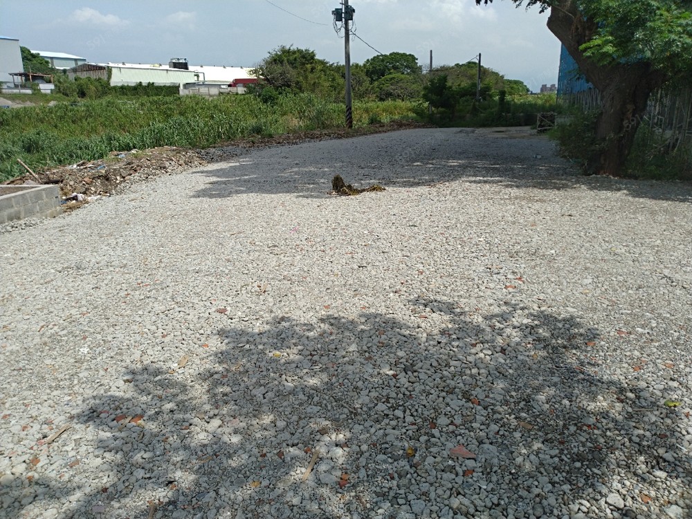 照片