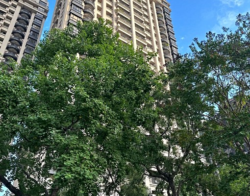 中路運動公園向陽風禾公園旁社區地下平車 - Image 6