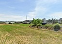 大肚區-追分段土地，1235.7坪