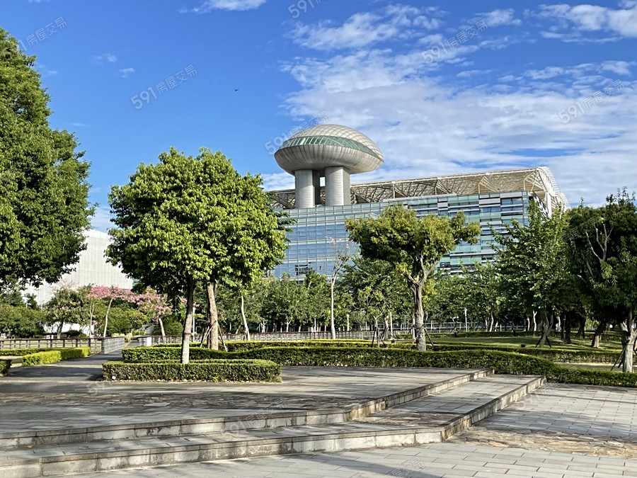 曼曼金硯環境圖