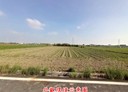 鹽水區-南70土地，901.4坪