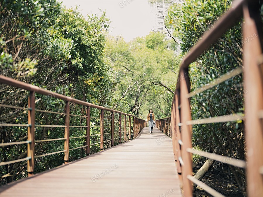 岳泰峰碩環境圖