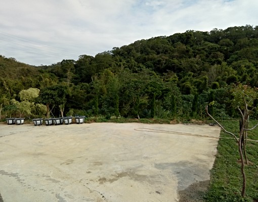 塵稀城兮藝術創作靜心休憩靈感視野園地 - Image 15
