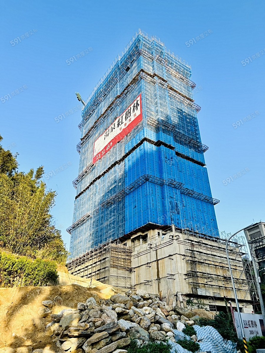 湯泉紅樹林實景圖