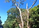 三芝區-山豬堀土地，949.4坪