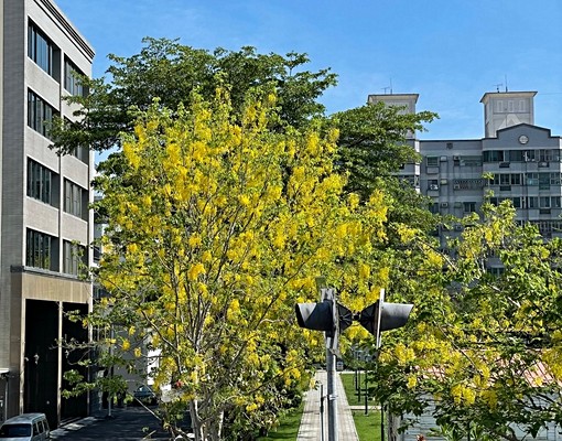 拎包入住！安平市政府全新設計獨立套房 - Image 6