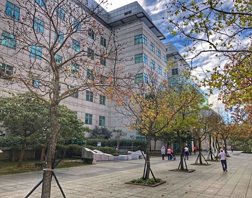 永安電梯房~近四號公園有陽台廚房雙採光 - Image 11