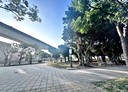 三重區-大有街3房2廳，44坪