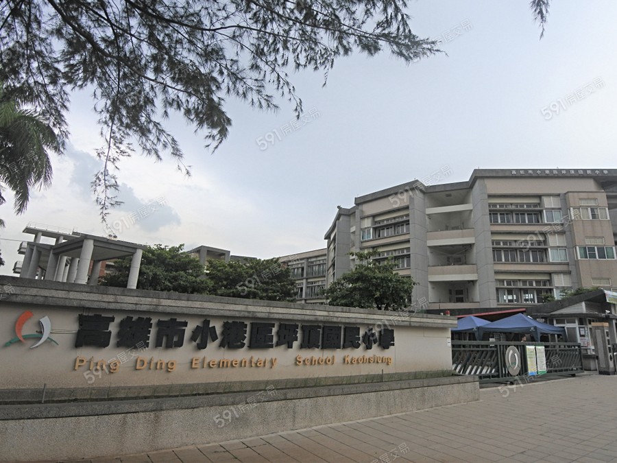 知鹿森林環境圖