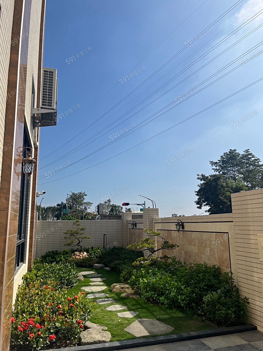 知鹿森林實景圖