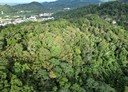 南庄鄉-下員林土地，23847坪