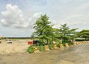 仁武區-新庄路土地，549.6坪