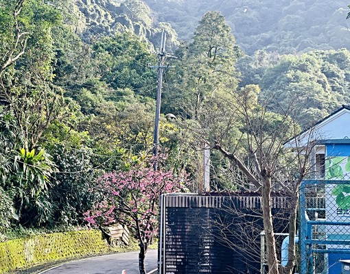 貳樓，自租免仲介費，入住北市別墅區！一房一廳一衛 - Image 9