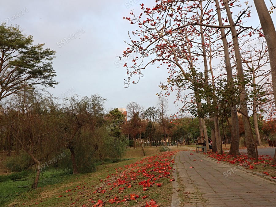 巴克禮 Park環境圖