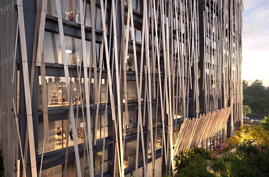 巴克禮 Park示意圖