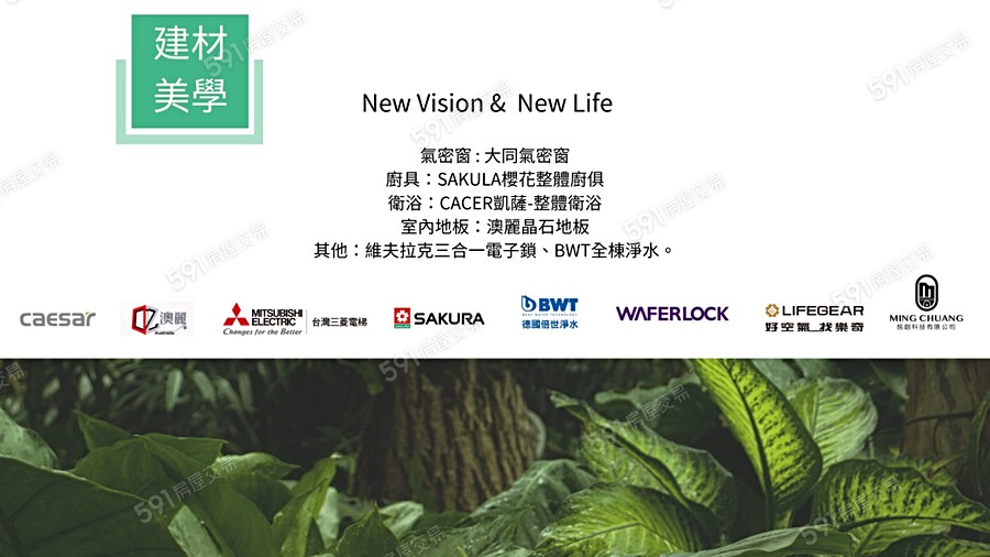 立東美美宣傳圖