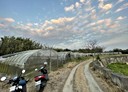平鎮區-鎮安段土地，622.7坪