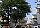 南屯區-大業路其他，176.1坪