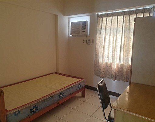禁養貓狗鼠兔等清潔住家 - Image 7
