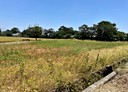 楊梅區-土地，435.6坪