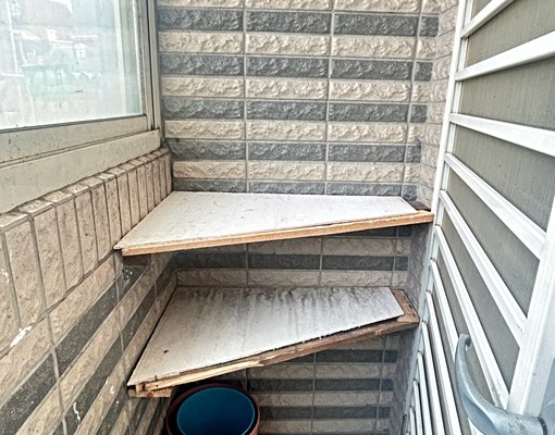 市區旁中興路/行政園區套房 - Image 5