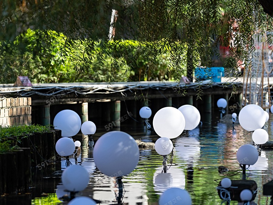 鳳凰愛買11-阡荀環境圖