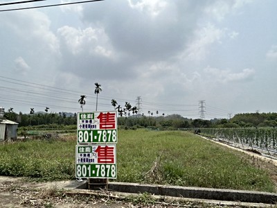 ◢低總價◣台南東山超值漂亮農地