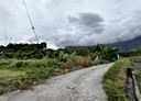 壽豐鄉-大坪段土地，2058.7坪